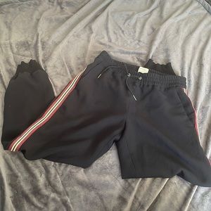 Aritzia joggers